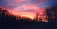 Forest Ridge Cabins and Campgrounds - Marienville, PA