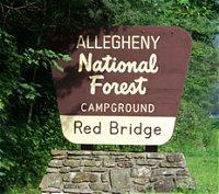 Red Bridge ANF Campground - Kane, PA