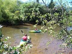 Allegheny River Campgrounds - Roulette, PA