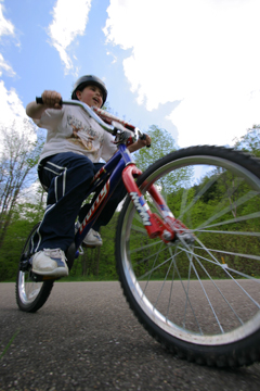 Pedal Through Scenic Byways