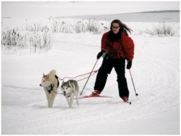 Warren County Winterfest - Chapman State Park in Clarendon, PA
