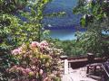 Rimrock - Mountain Laurels