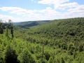 Kinzua Gorge - View from the Kinzua Sky Walk - Mt. Jewett, PA
