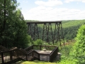 Kinzua Sky Walk - Kinzua Bridge State Park
