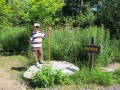 Kinzua Bridge State Park - Hiking