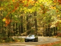ANF Fall Driving in McKean County, PA