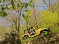 ANF Scenic Drive