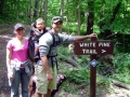 ANF Trail Central - White Pine Trail - Bradford, PA