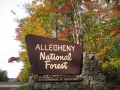 Allegheny National Forest Sign - Fall Foliage, McKean County, PA