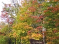 Allegheny National Forest sign