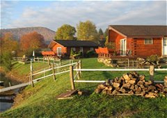 Mystic Water Resort & Cabins - Limestone, NY