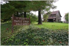 Stroup's Pure Maple Syrup - Kane, PA