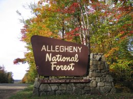 Allegheny National Forest Allegheny National Forest Kinzua