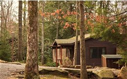 Black Bear Cabins Allegheny National Forest Kinzua