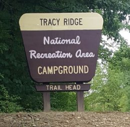 Tracy Ridge – ANF Campground - Bradford, PA