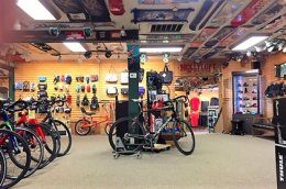 Hollyloft Ski & Bike - Jamestown, NY