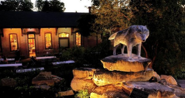 McCleery Wolf Center - Kane, PA