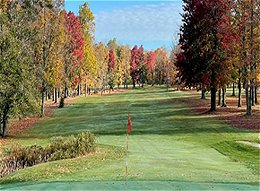 Pine Acres Golf & RV Resort - tree-lined fairway