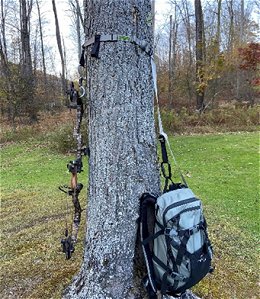 Tree hanger for backback