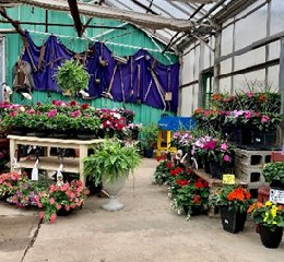 Flowers on display indoors
